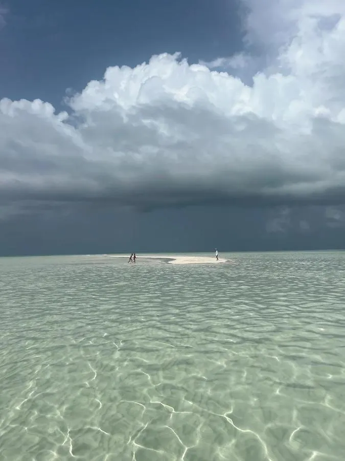 Fig Tree Harbour Island Home Dunmore Town Bahamas
